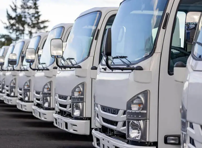 Row of white trucks parked outdoors
